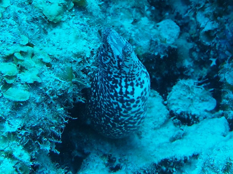 Curacao 04-12 480.JPG